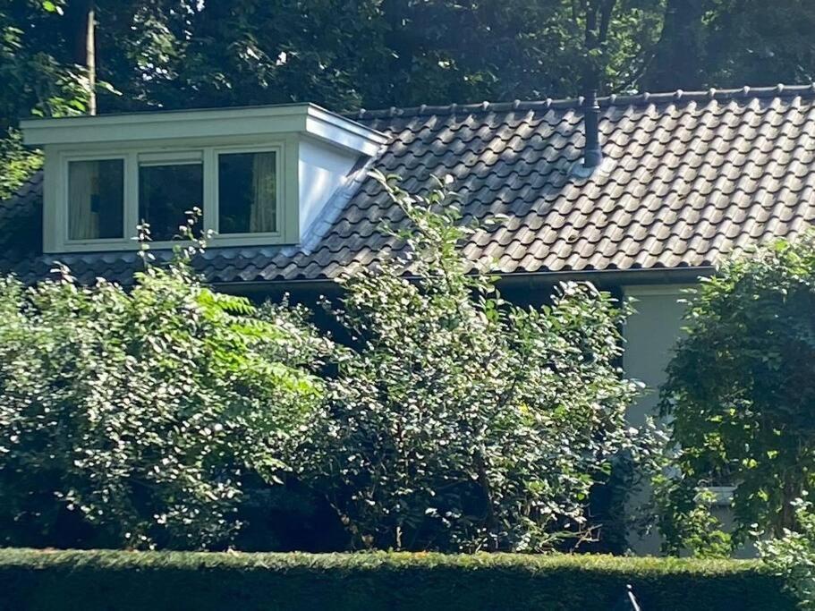 Duinhoek: Luxe Studio, Prachtig En Rustig Gelegen Zeist Exterior foto