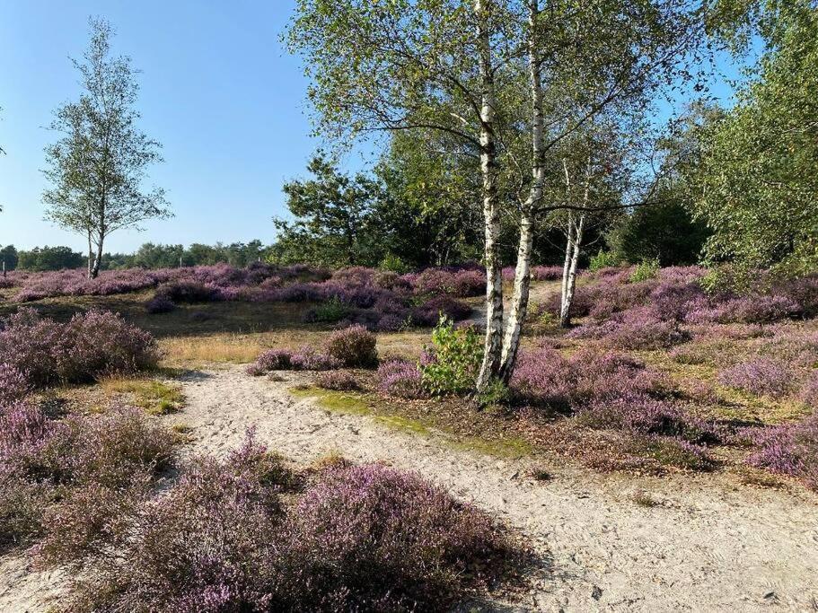 Duinhoek: Luxe Studio, Prachtig En Rustig Gelegen Zeist Exterior foto