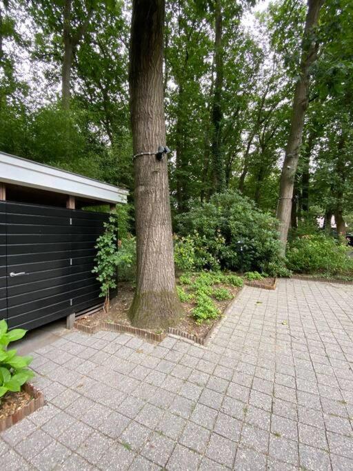 Duinhoek: Luxe Studio, Prachtig En Rustig Gelegen Zeist Exterior foto